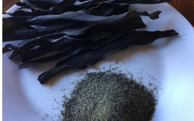 Kelp Powder: A Natural Source of Iodine & Umami