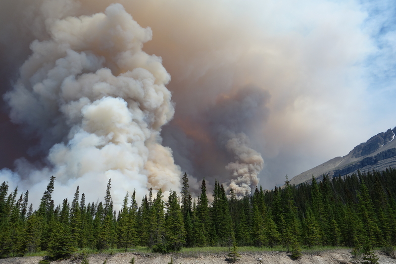 5 Tips to Protect Against Smoke from Forest Fires