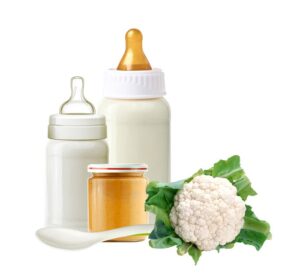 Homemade Baby Formula