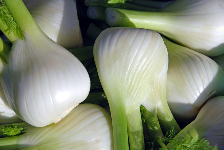 Can Fennel Help You Lose Weight?